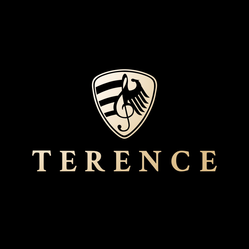 熱銷榜上的鍵盤(pán)樂(lè)器品牌——TERENCE